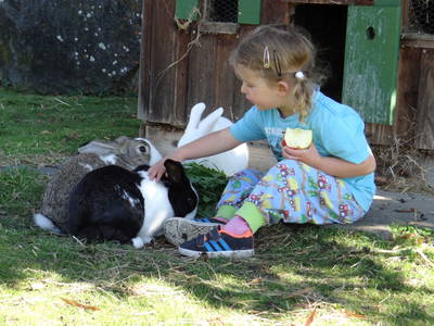 Bild 18 aus  Ferienhof Herz im Oberallgäu