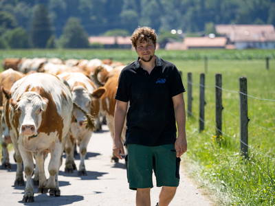 Bild 13 aus  Großrachlhof