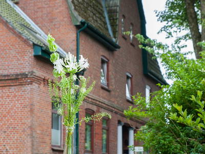 Im Garten mit Blick auf das Wohnhaus