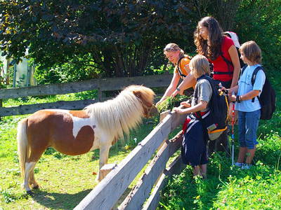 Bild 11 aus  Ferienhof Schmauß