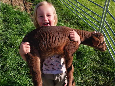 Bild 34 aus  Allgäu Bergferienhof