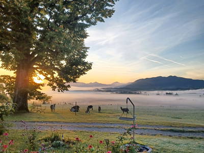 herbstliche Morgenstimmung