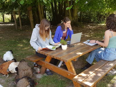 Bild 34 aus  Naturerlebnishof Helle