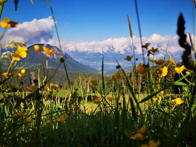 Bild 14 aus  Wastlhof  Urlaub auf dem Bauernhof