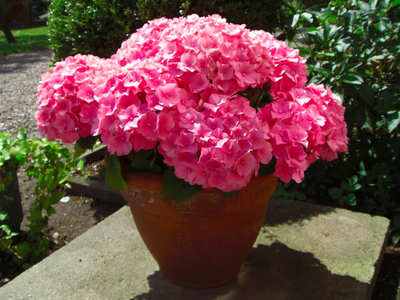 Bild 9 aus  Ahoi Ostsee:  Bauernhof und OstseeUrlaub - Ferienhof Becker in Dahme