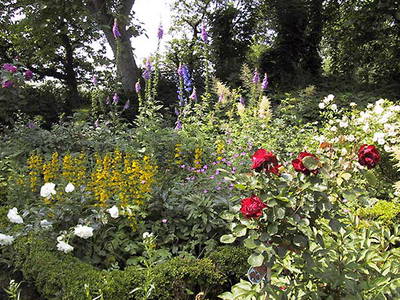 Bild 16 aus  Alte Scheune Krakvitz, Inh. Gisela Stolpe&Peter Hübner
