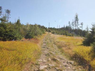 Bild 25 aus  Arber Lofts