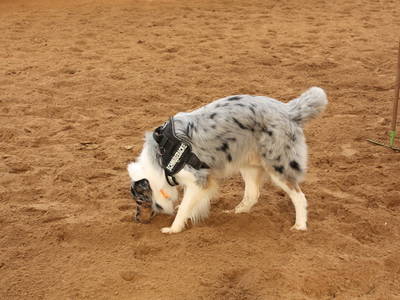 Bild 20 aus  Ferienhof Klaucke