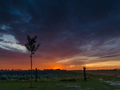 Bild 15 aus  Bioland - Bauernhof Andreßen