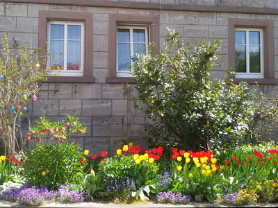 Bild 6 aus  Ferienhof Ott im Romantischen Franken bei Rothenburg o.d.T.