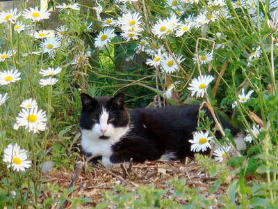 Bild 17 aus  An der See.de