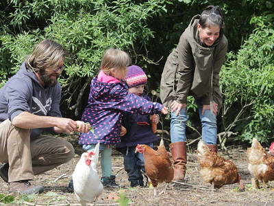 Bild 3 aus  Ferienbauernhof