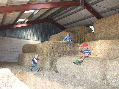 Bild 21 aus  Ferienhof Thomsen