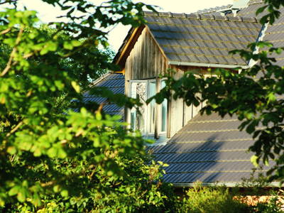 Bild 21 aus  Forsthof Niendorf