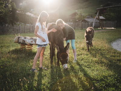 Bild 9 aus  LandSelection Proneben Gut