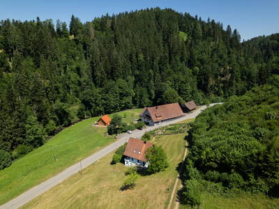 Bild 26 aus  Hanselishof