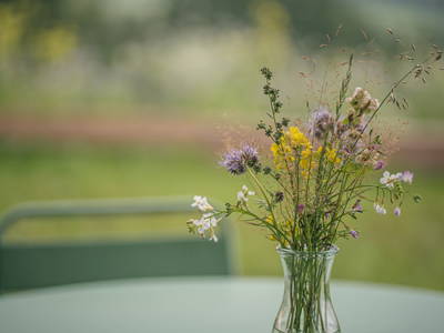 Bild 49 aus  Birkenhof - Ferienhof, Landcafé & Rösterei