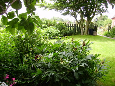 Bild 5 aus  Ferienhof Op de Warft