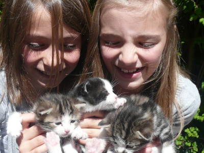 Bild 32 aus  Wietererhof