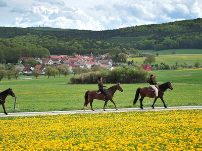 Ausritte durch die Rhön - buchbar auf unserer Ranch