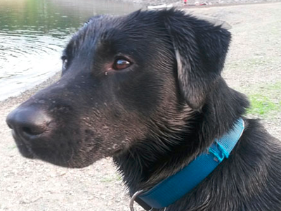 Bild 9 aus  Hof Berensheck