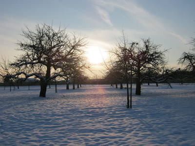 Bild 12 aus  Ferienhof Amann