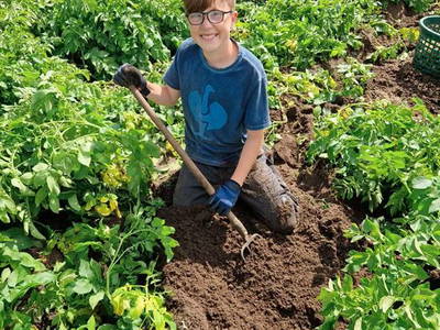 Bild 11 aus  Kreuger's Hof