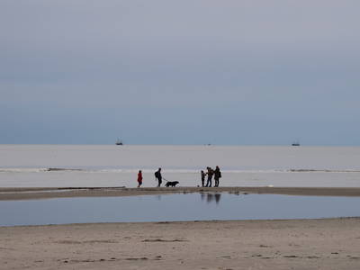 Bild 17 aus  Hamkenshof