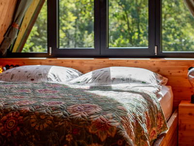 Bild 5 aus  Baumhausapartment