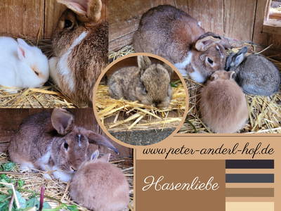 unsere Hasenkinder mit Familie
