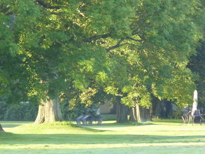 Bild 29 aus  Ferienhaus Gut Rattelvitz-INSEL RÜGEN