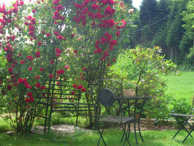 Bild 5 aus  Ramsteinerhof