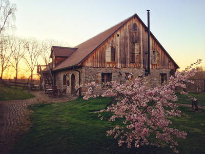 Frühling in Earl's Lane
