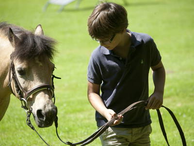 Bild 5 aus  Gut Herrlehof