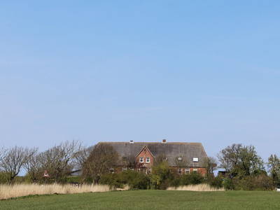 Bild 5 aus  Hof Harrsen