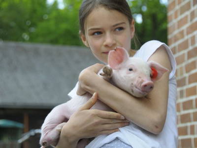 Bild 33 aus  Ferienhof Stegen