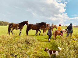 Bild 15 aus  Soodehof  Eins - Ihr Kinder-Erlebnisbauernhof in Nordhessen