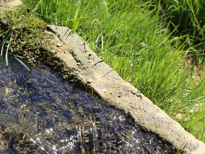 Bild 32 aus  Hollweck's Landoase