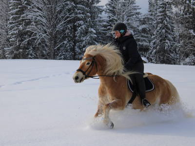 Bild 10 aus  Beim Draxl