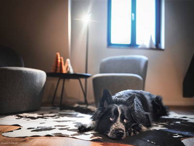 Bild 18 aus  Ferienhaus Gersmühle