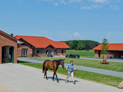 Bild 4 aus  Söhrenhof