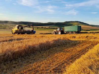 Bild 8 aus  An Webers Stoag