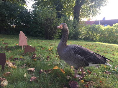 Bild 66 aus  Ostsee Ferienhof Kluvetasch