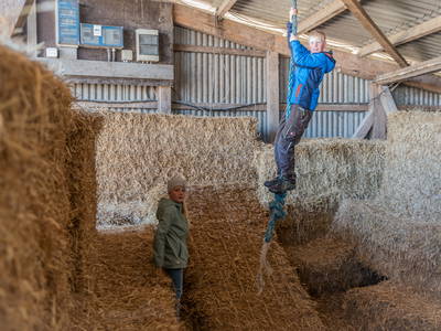 Bild 15 aus  Lindenhof