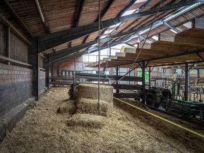 Bild 17 aus  Adrianenhof