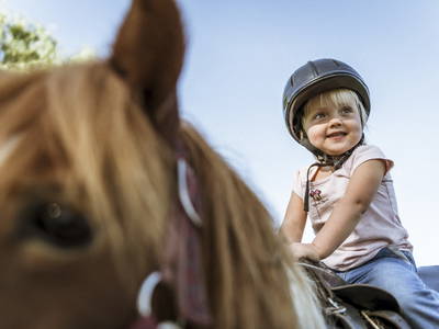 Bild 4 aus  LandSelection Moierhof am Chiemsee - Ferienhof des Jahres