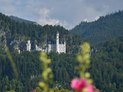 Bild 43 aus  Augustinerhof