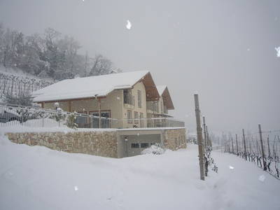 Bild 17 aus  Ferienwohnungen Grabmayrhof