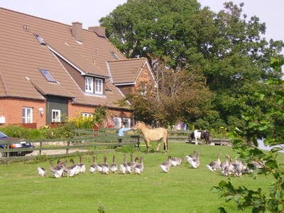 Bild 3 aus  Ferienhof Op de Warft