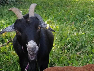 Wilma wartet mit ihren Kumpels Rüdiger und Paula auf Sie !